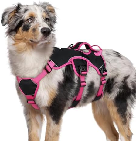 rabbitgoo Escape Proof Dog Harness by rabbitgoo