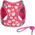 Step in Dog Harness No Pull Flower Adjustable Soft Mesh Harness by KocaPlye