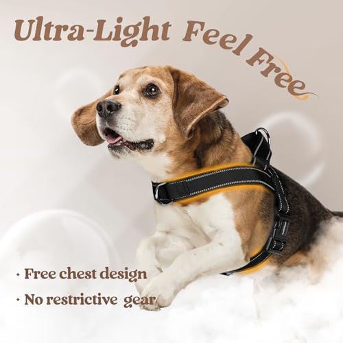 rabbitgoo Dog Harness No Pull, Quick Fit - Image 5