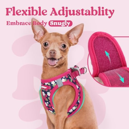 rabbitgoo Step-in Small Dog Harness, Puppy Vest - Image 7