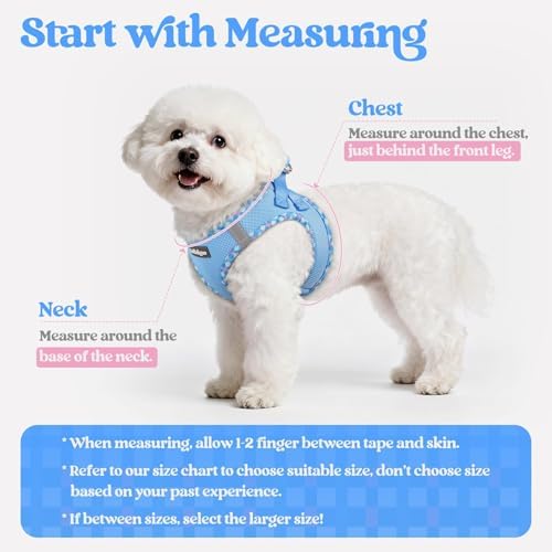 rabbitgoo Dog Harness Medium Sized and Leash Set, Step-in Puppy Pet Vest - Image 2