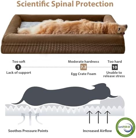 WNPETHOME XXL Extra Large Orthopedic - Image 3