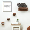 45LBS Cat Wall Shelves with 3 Non-Slips Steps, Space-Saving Mounted Cat Wall by PURRHOUSE