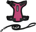 Voyager Step-in Lock Cat Harness & Leash Set by BestPetSuppliesLLC