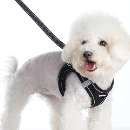Solmoony Sparkly XXXS Dog Harness and Leash Set, Step in Soft Light Puppy Vest - Image 2
