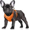 BARKBAY No Pull Dog Harness Large Reflective Dog Harness by BARKBAY