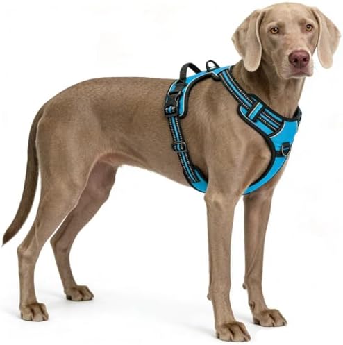 Blue No-Pull Dog Harness with 2 Leash Clips，Soft Padded Vest - Image 4