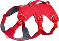 Ruffwear, Web Master Dog Body Harness, Large/X-Large by RuffwearInc