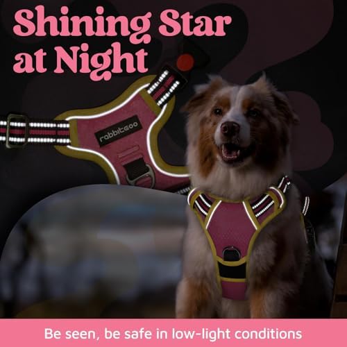 rabbitgoo Dog Harness for Large, No Pull 3 Buckles Easy On & Off - Image 6