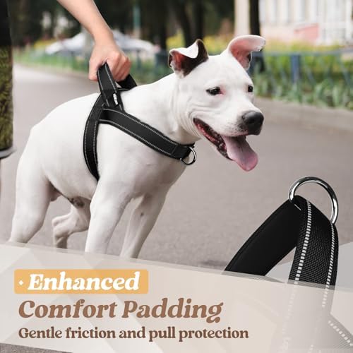 rabbitgoo Dog Harness No Pull, Quick Fit - Image 6