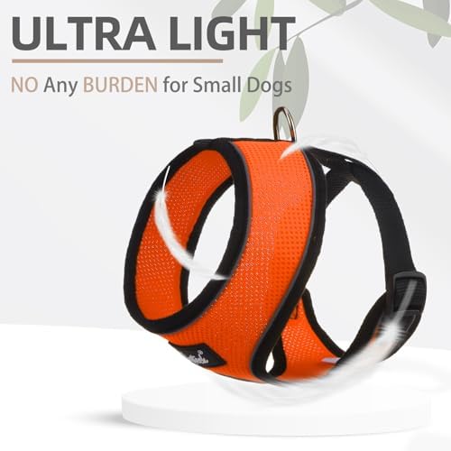 PUPTECK Small Dog Harness and Leash Set No Pull - Image 5