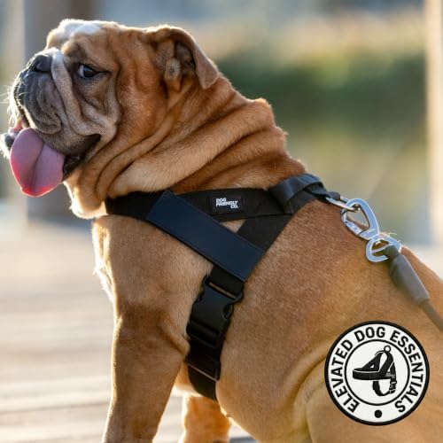 Dog Friendly Co. Dog Harness for Small Dogs - Image 5