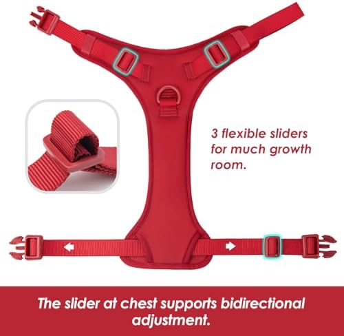 Sunraymascota No Pull Dog Harness - Image 4