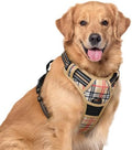 rabbitgoo Dog Harness, No Pull for Large Dogs by rabbitgoo