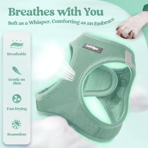 rabbitgoo Dog Harness Small Sized and Leash Set, Step-in Puppy Pet Vest - Image 4
