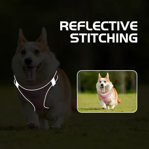 Soft Mesh Dog Harness and Leash Set, No Pull Puppy Harness and Leash Set - Image 6