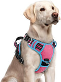 rabbitgoo Dog Harness for Large, No Pull 3 Buckles Easy On & Off by rabbitgoo