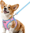rabbitgoo Dog Harness Small Sized and Leash Set, Step in Soft Vest by rabbitgoo