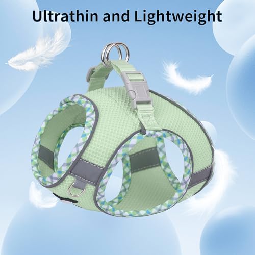 AIITLE Step in Dog Harness & Leash Set - Image 5