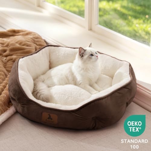 Asvin Small Dog Bed for Small Dogs, Cat Beds for Indoor Cats, Pet Bed for Puppy - Image 4