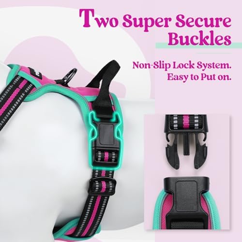rabbitgoo Dog Harness, No Pull for Small Dogs - Image 3
