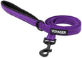 Best Pet Supplies Voyager Nylon Dog Leash - 6ft Purple by BestPetSuppliesLLC