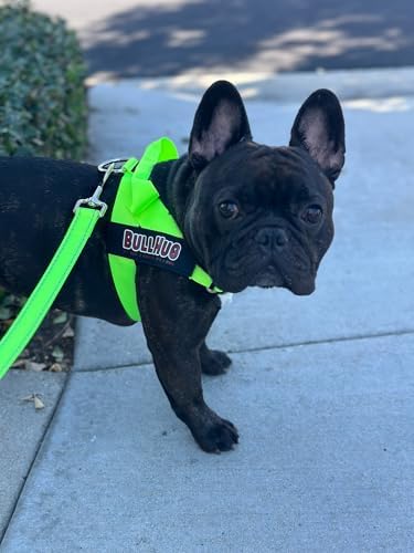 BULLHUG Adjustable Dog Harness– No Pull, No Choke – - Image 6