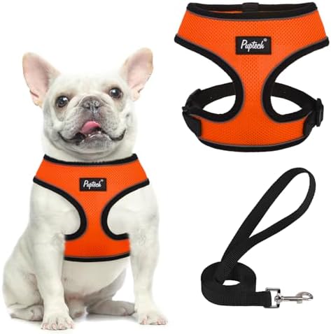 PUPTECK Small Dog Harness and Leash Set No Pull by PUPTECK