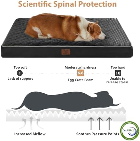 WNPETHOME Orthopedic Waterproof Dog Bed Medium - Image 3