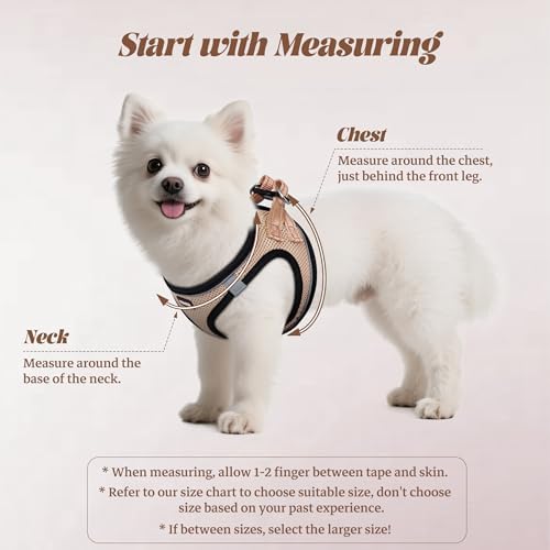 No Pull Dog Puppy Harness and Leash Set Reflective Mesh Vest X-Small - Image 2