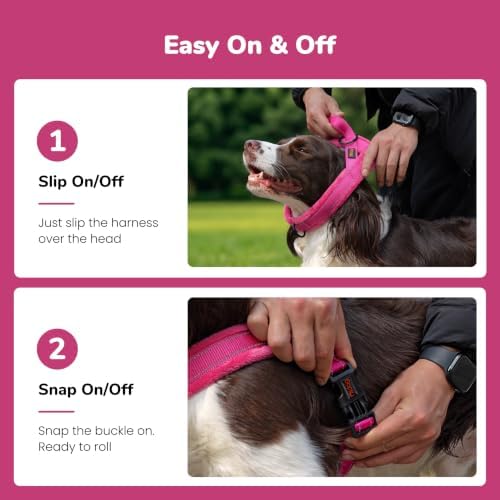 Didog No Pull Dog Harness for Medium Dogs, Soft Flannel Padded, Hot Pink - Image 3