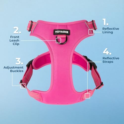 Voyager Dual Attachment No Pull Harness - Image 6