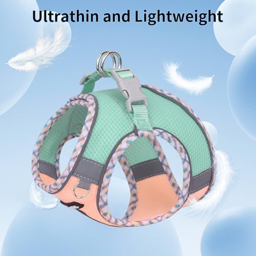 AIITLE Escape-Proof Dog Harnesss and Leash Set, Turquoise-Pink L - Image 3