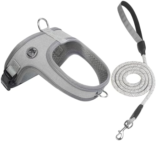 Dog Harness and Leash Set, No Pull Saddle Style Pet Harness, Breathable Mesh by Mengbeitribe