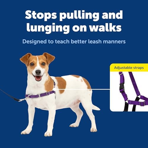 PetSafe Easy Walk Harness, No Pull Dog Harness, Deep Purple - Image 5
