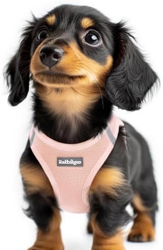 rabbitgoo Step-in Small Dog Harness, Puppy Vest by rabbitgoo