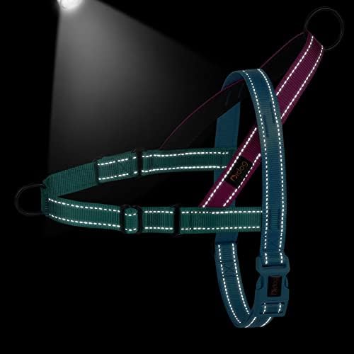 Didog No Pull Dog Harness for Small Dogs, Soft Padded Handle - Image 4