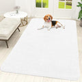 OLANLY Dog Door Mat for Muddy Paws 70x46, Super Absorbent Chenille Mud Mat by OLANLY