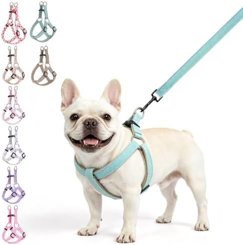 BEAUTYZOO Adjustable No Pull Dog Harness and Leash Set, Linen Style Woven by BEAUTYZOO