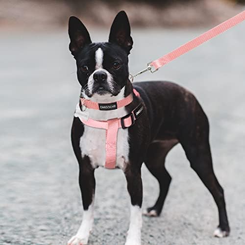 No Pull Dog Harness, Leash & Collar Set, Adjustable Step-in Vest - Image 5