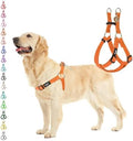PUPTECK No Pull Dog Harness Medium Sized Step-in Adjustable Puppy Vest by PUPTECK