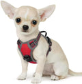 Eagloo Dog Harness for Small Dogs, No Pull Pet Vest by GoExplorewithEagloo