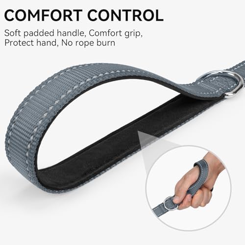 Joytale Reflective Dog Leash for Small Dogs, 6 FT x 3/4" - Image 3