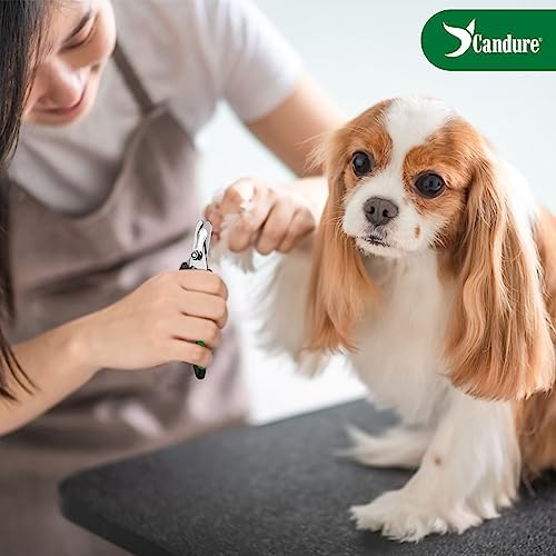 Candure Dog Nail Clippers Professional Pet Nail Clipper Suitable - Image 4