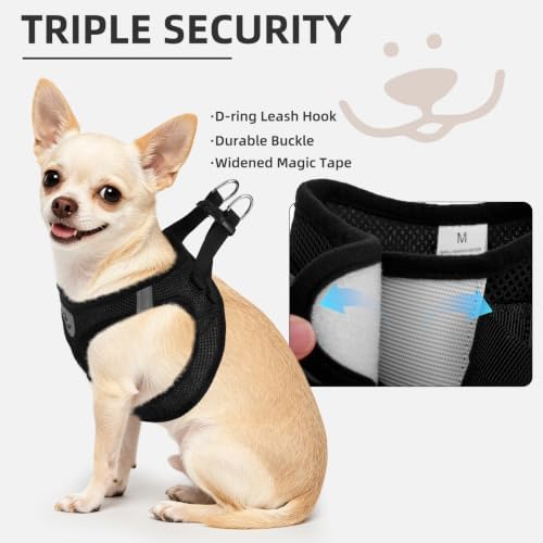 PUPTECK Dog Harness, Collar and Leash Set No Pull - Image 5