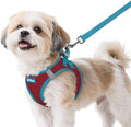 rabbitgoo Dog Harness Small Sized and Leash Set, Step in Soft Vest by rabbitgoo