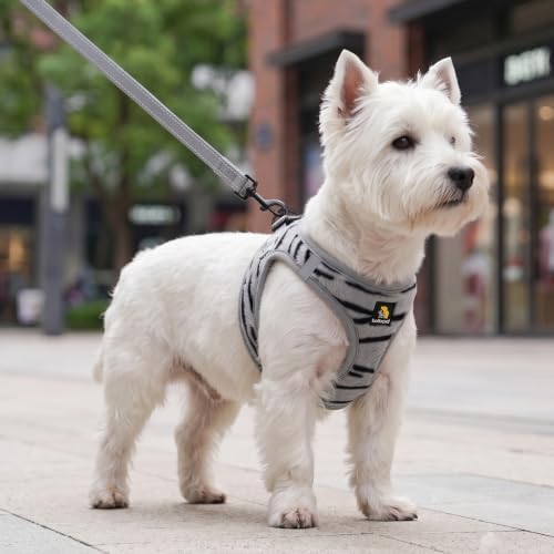 BELLA & PAL Step in Puppy Harness and Leash Set - Image 6