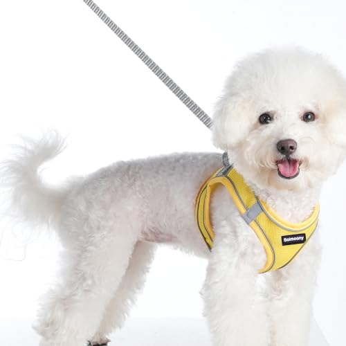 Solmoony Sparkly XXXS Dog Harness and Leash Set, Step in Soft Light Puppy Vest - Image 2