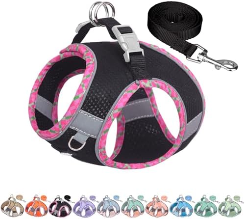 AIITLE Escape-Proof Dog Harnesss and Leash Set, Step in Pet Vest by AIITLE-FORPETSBETTERLIFE