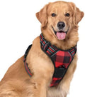 rabbitgoo Dog Harness, No Pull for Large Dogs by rabbitgoo
